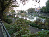 20061105-07.JPG