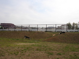 20070217-04.JPG