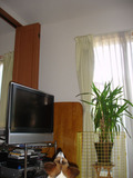 20070617-02.JPG