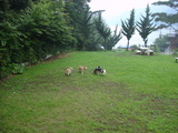 20070729-04.JPG