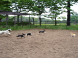 20050920-6.JPG