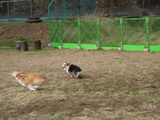 20060219-6.JPG