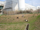 20060312-3.JPG