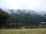 20060417-10.JPG