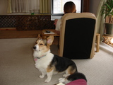 20060505-3.JPG