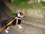 20060629-3.JPG