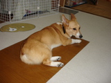 20060704-1.JPG